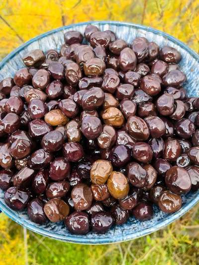 Siyah Zeytin Yuvarlama 1 kg.