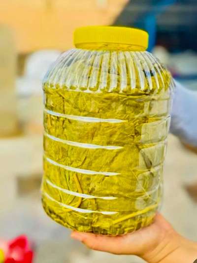 Salamura Asma Yaprak 5'lik...