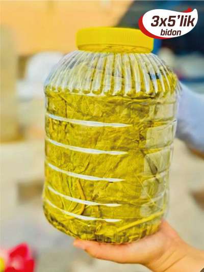 Salamura Asma Yaprak 3x5'lik Bidon
